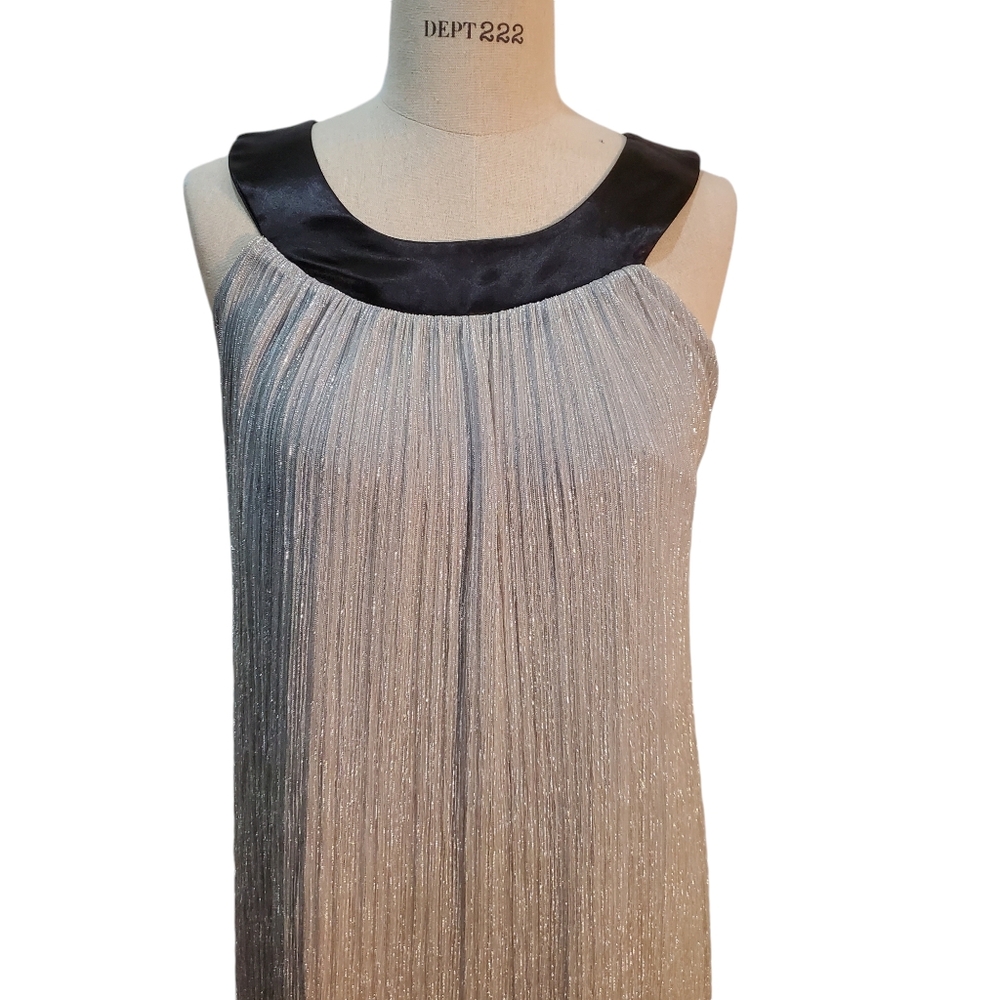 Enfocus Studio Silver Metallic &‎ Black Trim Cocktail Dress Size 6 New